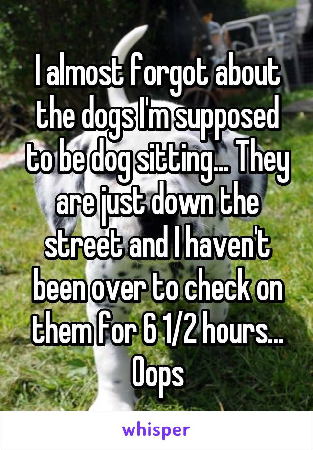 I almost forgot about the dogs I'm supposed to be dog sitting... They are just down the street and I haven't been over to check on them for 6 1/2 hours... Oops