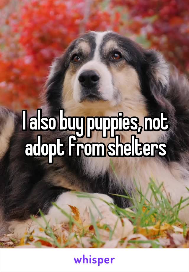 I also buy puppies, not adopt from shelters