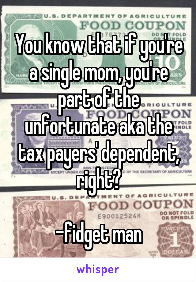 You know that if you're a single mom, you're part of the unfortunate aka the tax payers' dependent, right?

-fidget man