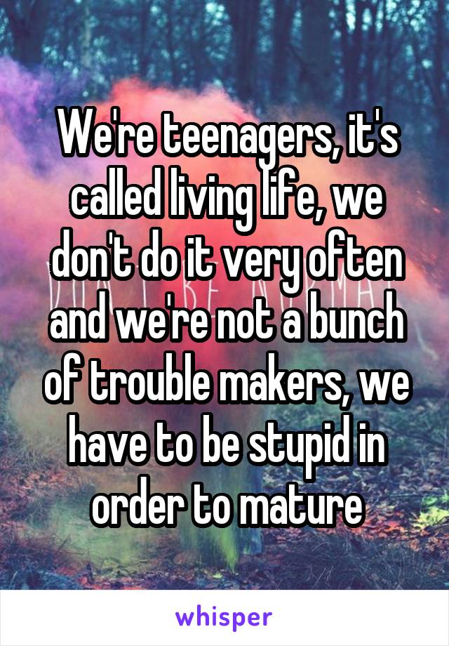 We're teenagers, it's called living life, we don't do it very often and we're not a bunch of trouble makers, we have to be stupid in order to mature