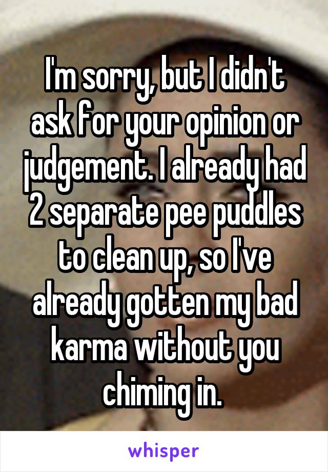 I'm sorry, but I didn't ask for your opinion or judgement. I already had 2 separate pee puddles to clean up, so I've already gotten my bad karma without you chiming in. 