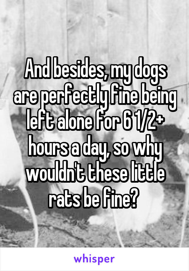 And besides, my dogs are perfectly fine being left alone for 6 1/2+ hours a day, so why wouldn't these little rats be fine? 