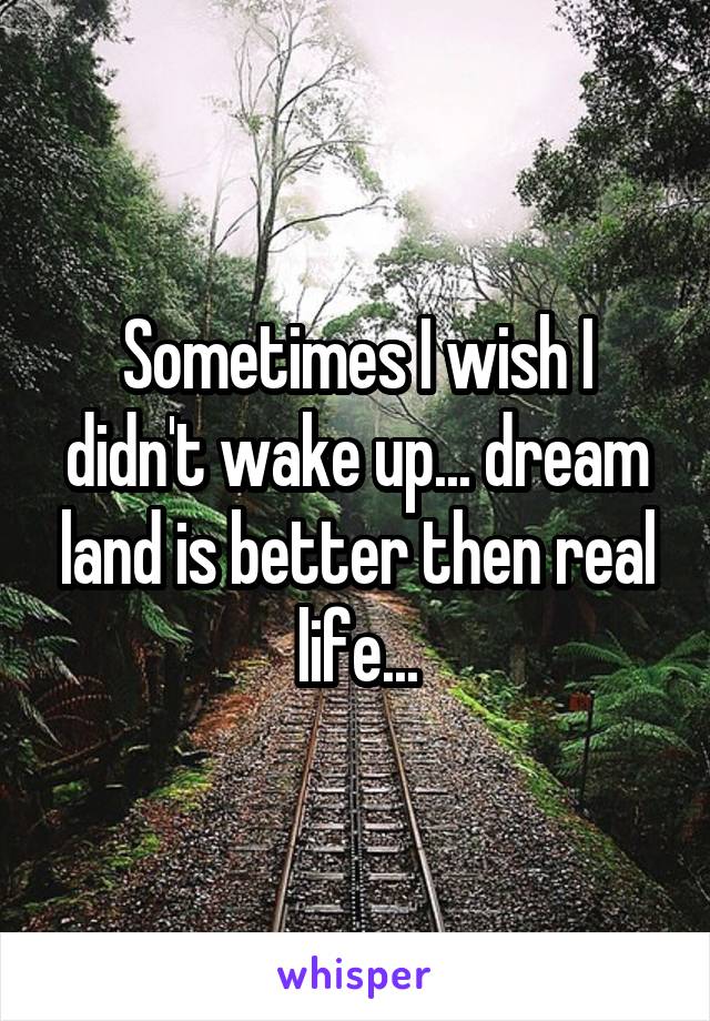 Sometimes I wish I didn't wake up... dream land is better then real life...