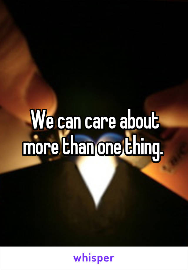 We can care about more than one thing. 