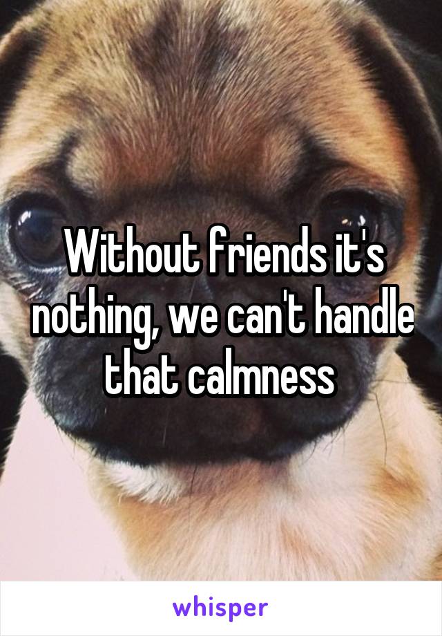 Without friends it's nothing, we can't handle that calmness 