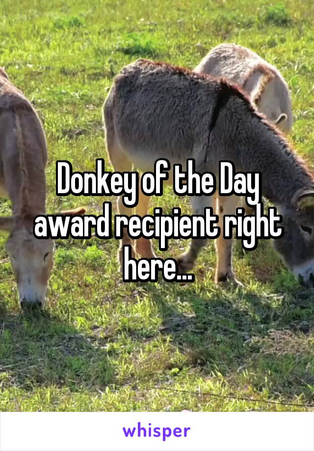 Donkey of the Day award recipient right here...