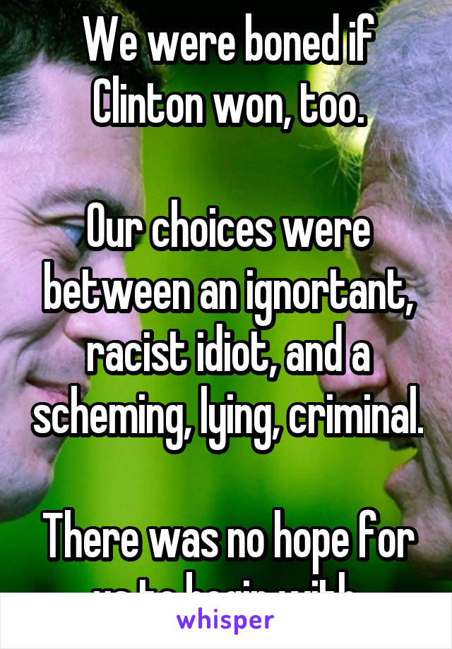 We were boned if Clinton won, too.

Our choices were between an ignortant, racist idiot, and a scheming, lying, criminal.

There was no hope for us to begin with.