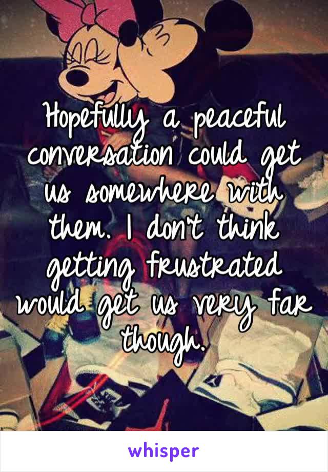 Hopefully a peaceful conversation could get us somewhere with them. I don’t think getting frustrated would get us very far though.