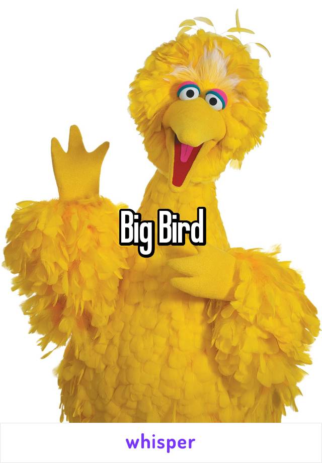 Big Bird