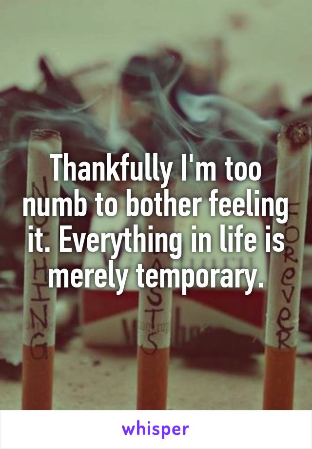 Thankfully I'm too numb to bother feeling it. Everything in life is merely temporary.