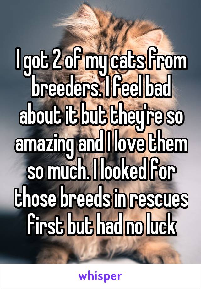 I got 2 of my cats from breeders. I feel bad about it but they're so amazing and I love them so much. I looked for those breeds in rescues first but had no luck