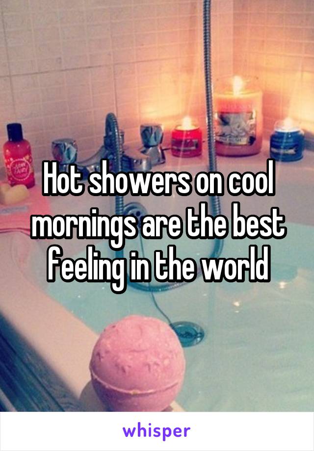 Hot showers on cool mornings are the best feeling in the world