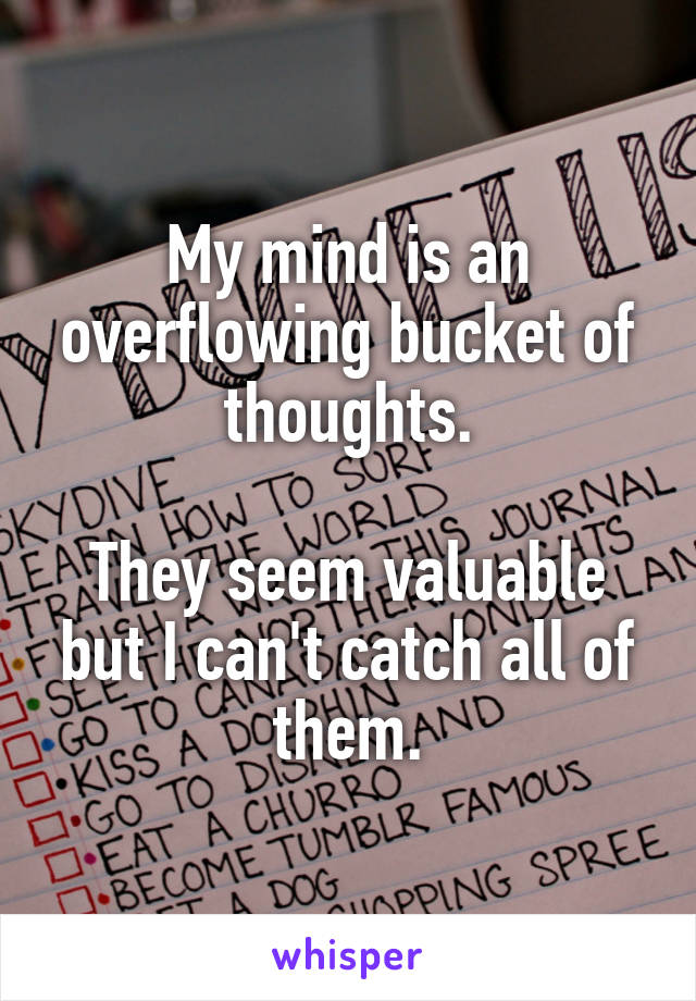 My mind is an overflowing bucket of thoughts.

They seem valuable but I can't catch all of them.