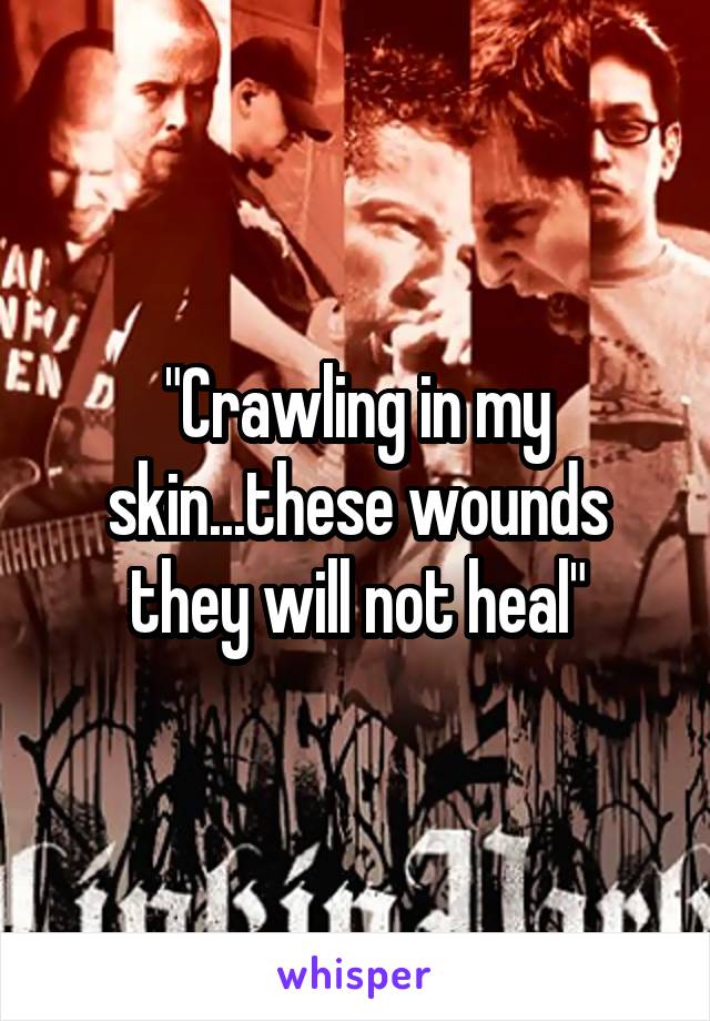 "Crawling in my skin...these wounds they will not heal"