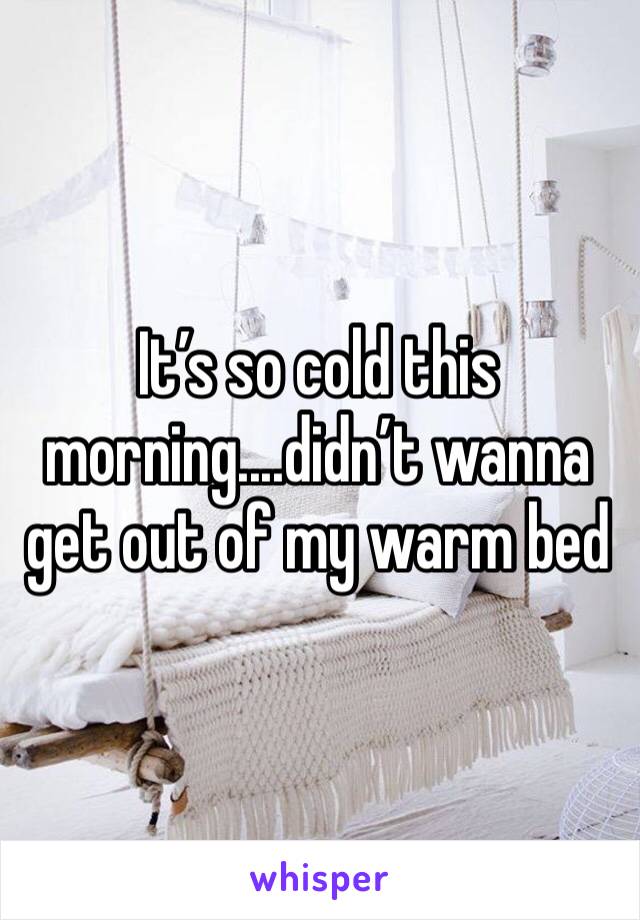 It’s so cold this morning....didn’t wanna get out of my warm bed 