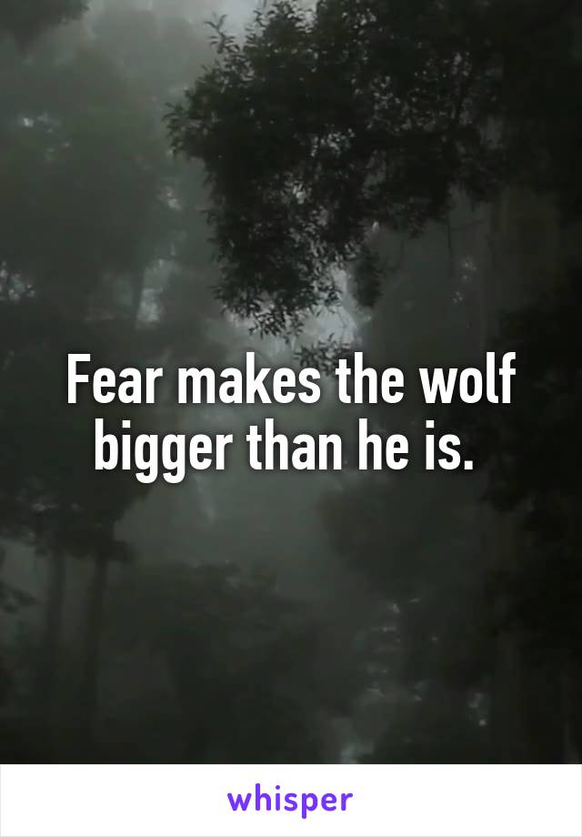 Fear makes the wolf bigger than he is. 