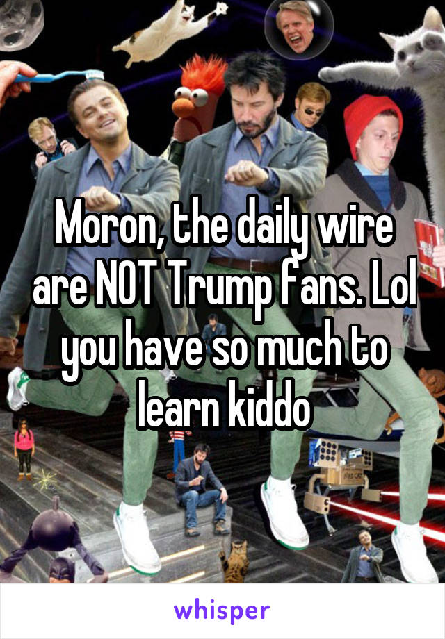 Moron, the daily wire are NOT Trump fans. Lol you have so much to learn kiddo