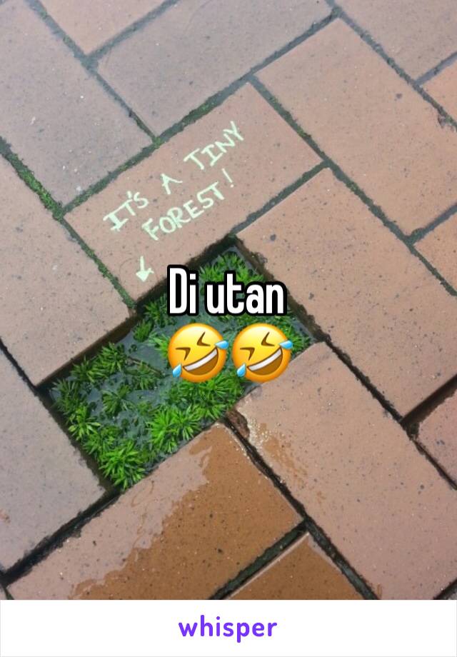 Di utan
🤣🤣