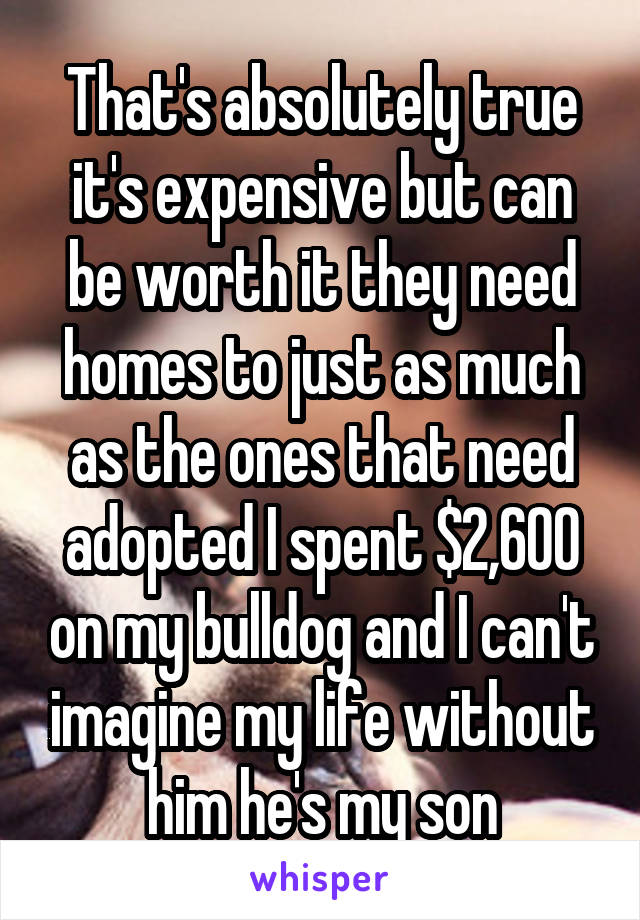 That's absolutely true it's expensive but can be worth it they need homes to just as much as the ones that need adopted I spent $2,600 on my bulldog and I can't imagine my life without him he's my son