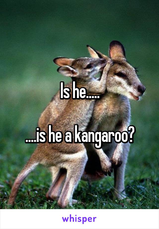 Is he.....

....is he a kangaroo?