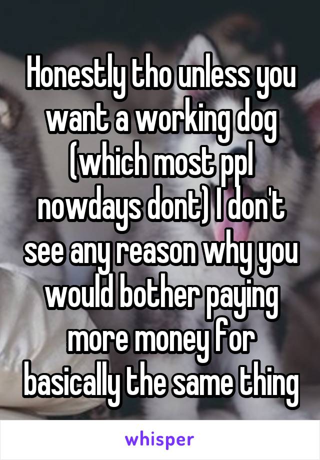 Honestly tho unless you want a working dog (which most ppl nowdays dont) I don't see any reason why you would bother paying more money for basically the same thing