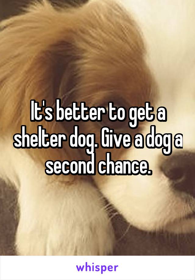 It's better to get a shelter dog. Give a dog a second chance.