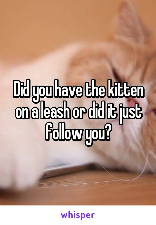 Did you have the kitten on a leash or did it just follow you?