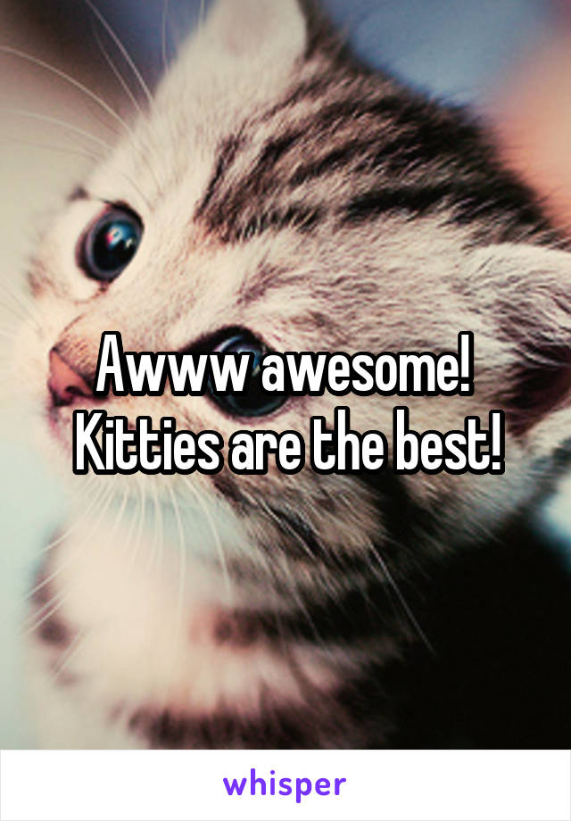 Awww awesome!  Kitties are the best!