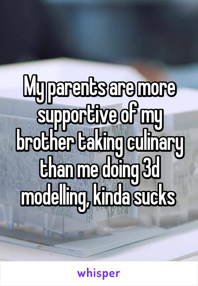 My parents are more supportive of my brother taking culinary than me doing 3d modelling, kinda sucks 