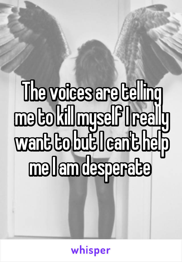The voices are telling me to kill myself I really want to but I can't help me I am desperate 