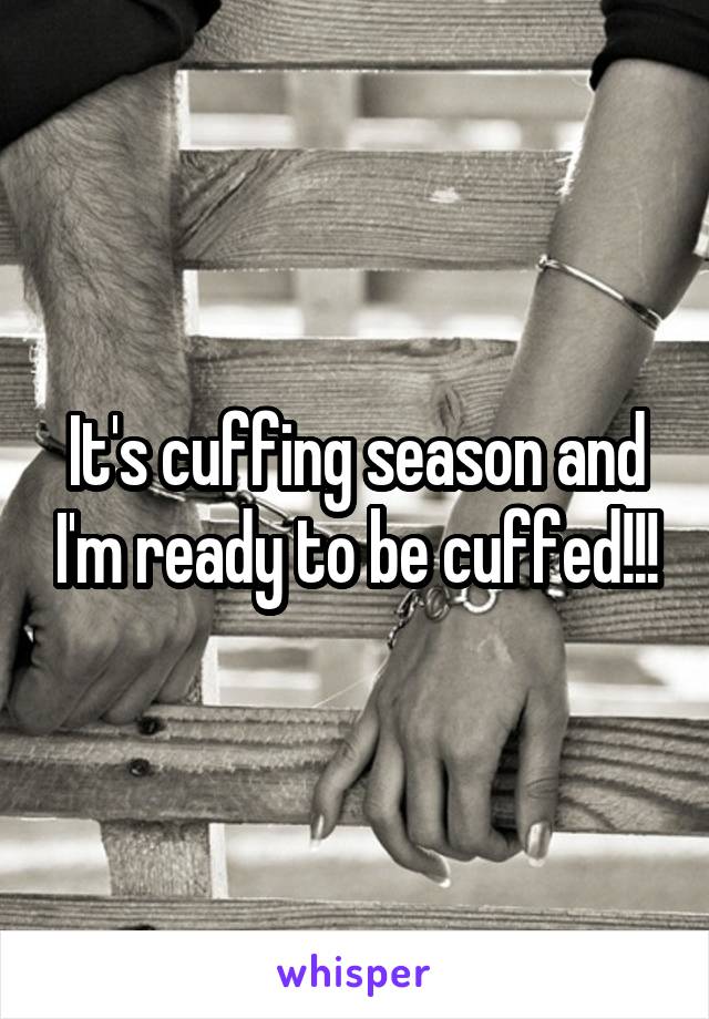 It's cuffing season and I'm ready to be cuffed!!!