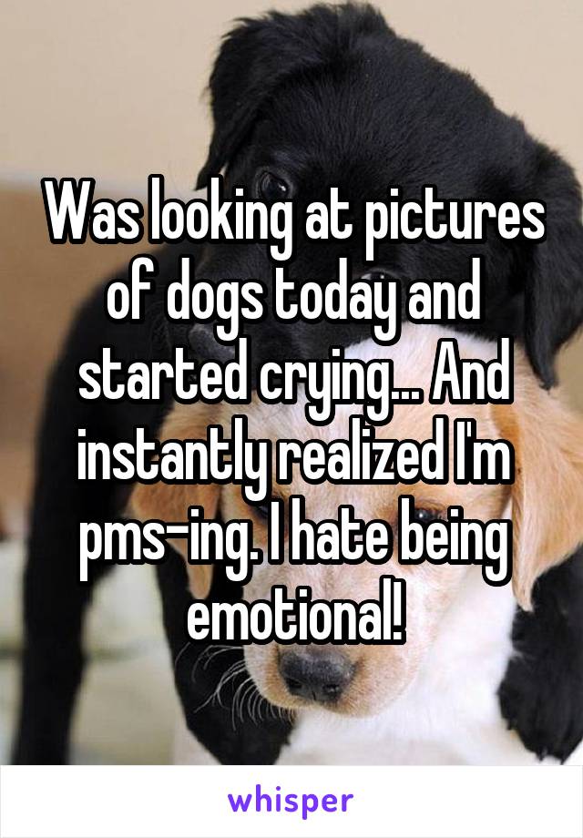 Was looking at pictures of dogs today and started crying... And instantly realized I'm pms-ing. I hate being emotional!