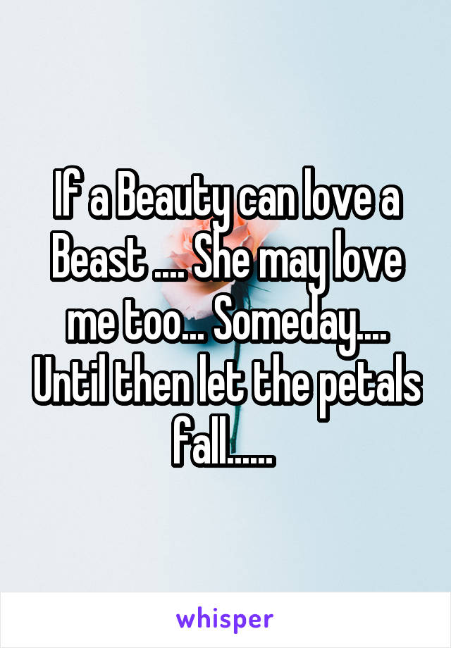If a Beauty can love a Beast .... She may love me too... Someday.... Until then let the petals fall...... 