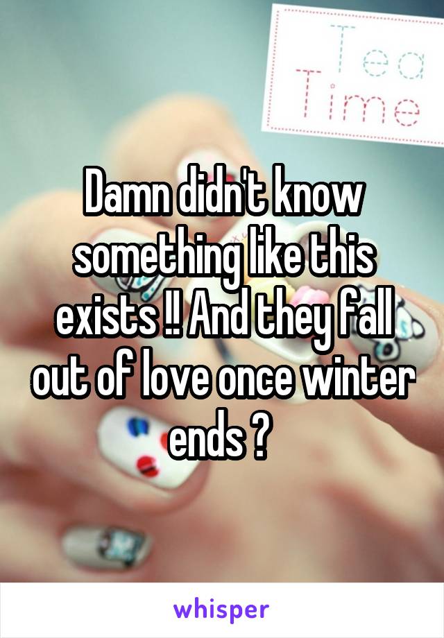 Damn didn't know something like this exists !! And they fall out of love once winter ends ? 