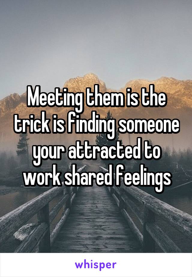 Meeting them is the trick is finding someone your attracted to work shared feelings