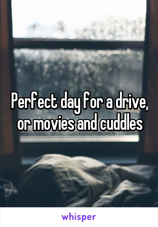 Perfect day for a drive, or movies and cuddles