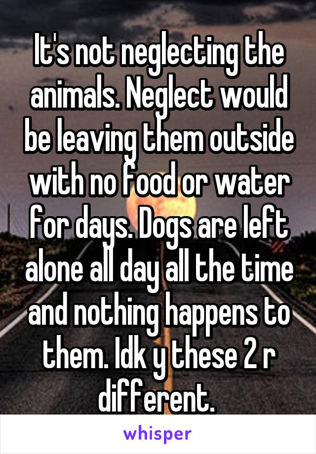 It's not neglecting the animals. Neglect would be leaving them outside with no food or water for days. Dogs are left alone all day all the time and nothing happens to them. Idk y these 2 r different. 