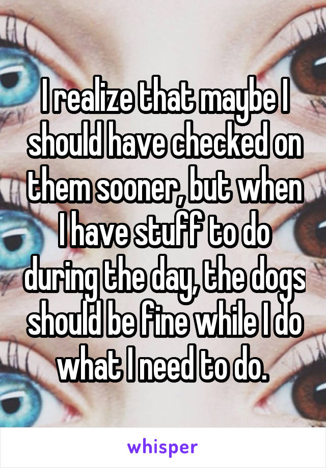 I realize that maybe I should have checked on them sooner, but when I have stuff to do during the day, the dogs should be fine while I do what I need to do. 