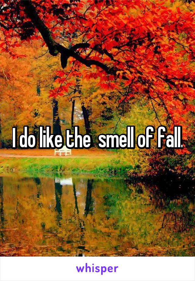 I do like the  smell of fall.