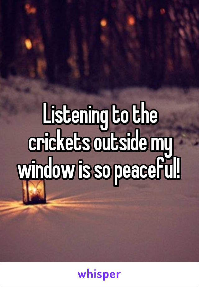Listening to the crickets outside my window is so peaceful! 