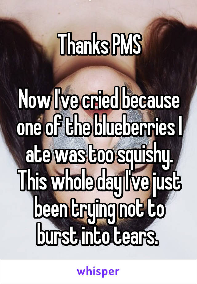 Thanks PMS

Now I've cried because one of the blueberries I ate was too squishy. This whole day I've just been trying not to burst into tears. 