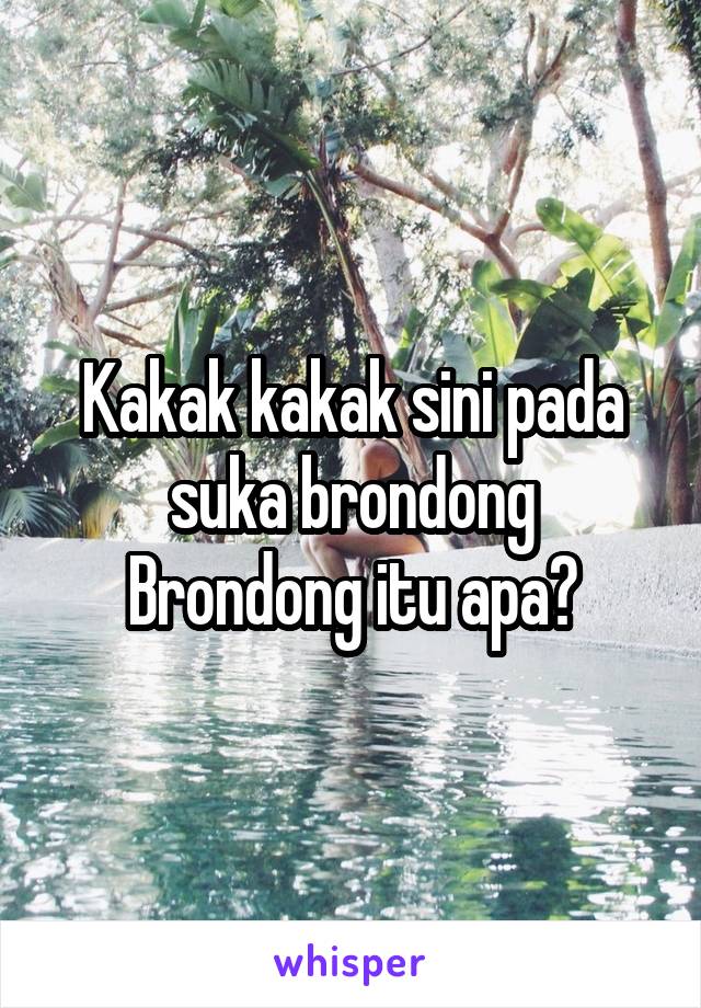 Kakak kakak sini pada suka brondong
Brondong itu apa?