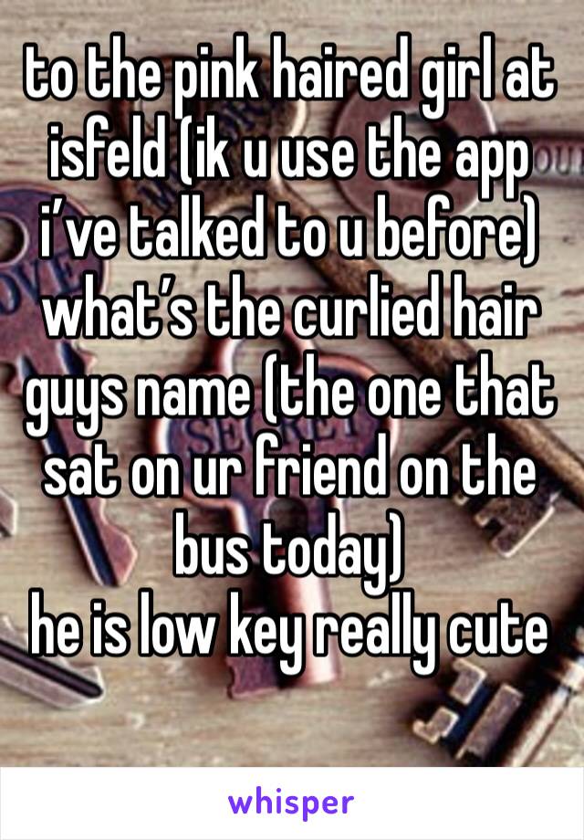 to the pink haired girl at isfeld (ik u use the app i’ve talked to u before) what’s the curlied hair guys name (the one that sat on ur friend on the bus today) 
he is low key really cute