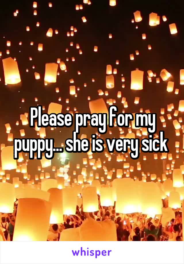 Please pray for my puppy... she is very sick 