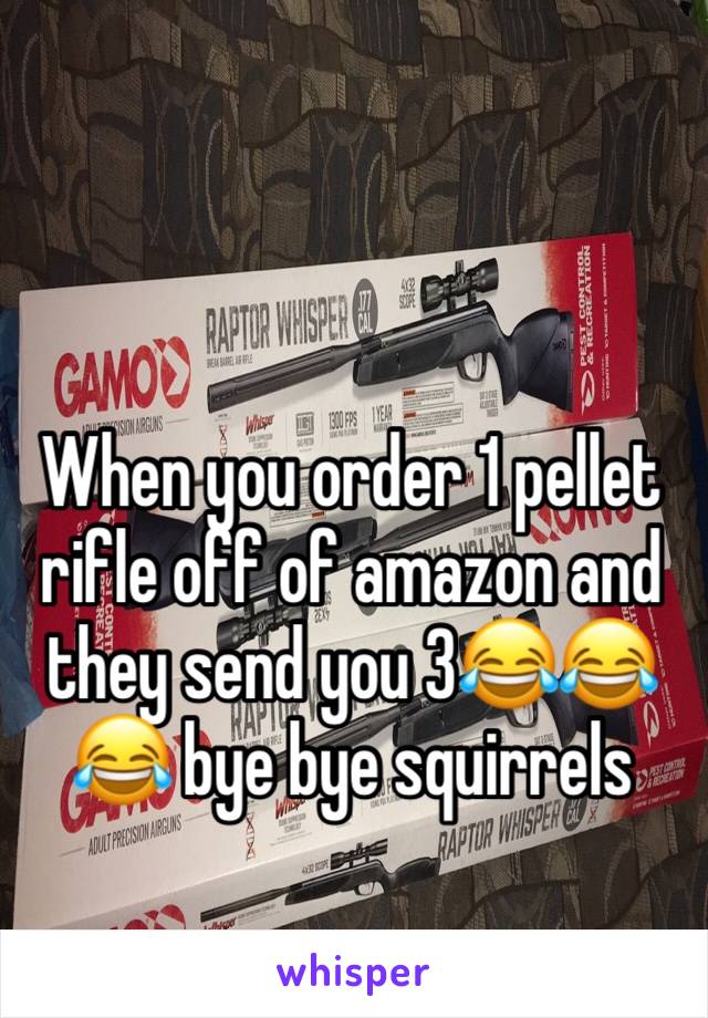 When you order 1 pellet rifle off of amazon and they send you 3😂😂😂 bye bye squirrels 
