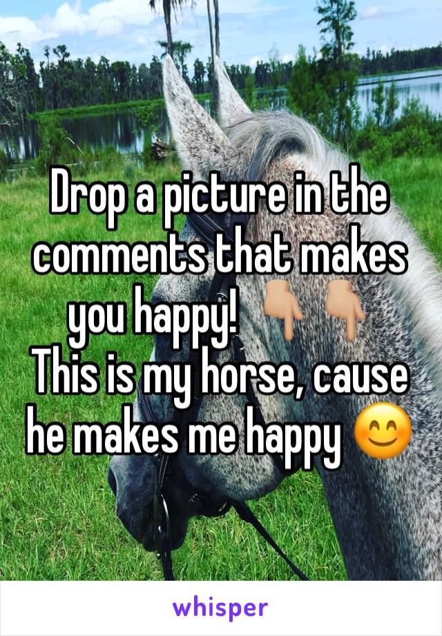 Drop a picture in the comments that makes you happy! 👇🏼👇🏼
This is my horse, cause he makes me happy 😊 