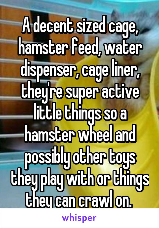 A decent sized cage, hamster feed, water dispenser, cage liner, they're super active little things so a hamster wheel and possibly other toys they play with or things they can crawl on. 