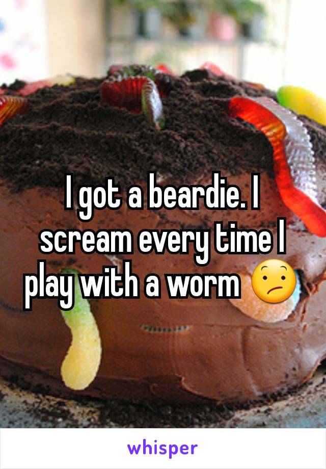 I got a beardie. I scream every time I play with a worm 😕