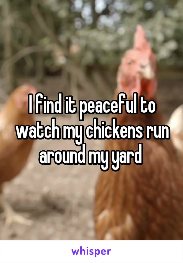 I find it peaceful to watch my chickens run around my yard 