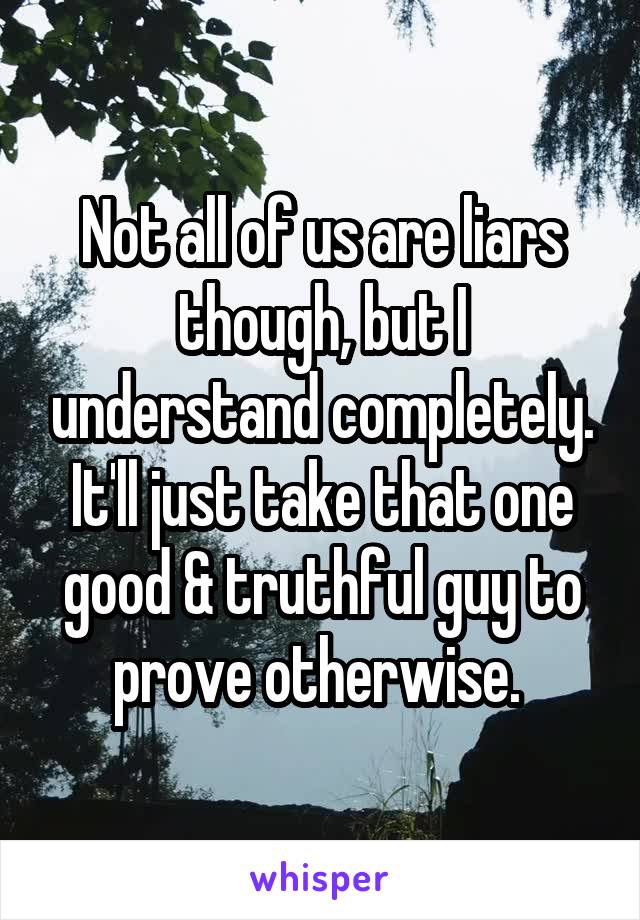 Not all of us are liars though, but I understand completely. It'll just take that one good & truthful guy to prove otherwise. 